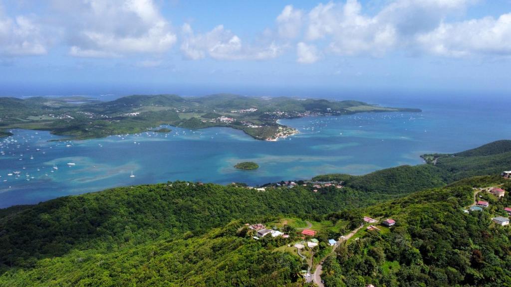 勒马兰Charmante maison vue mer au Marin avec jardin的海洋岛屿的空中景观