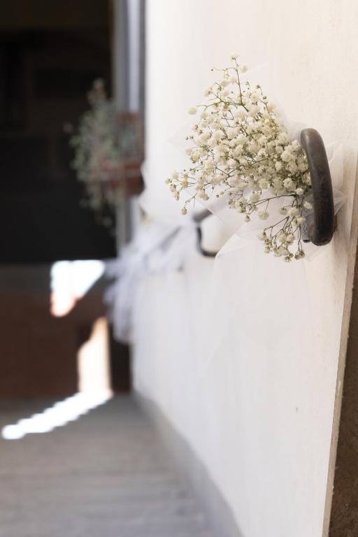 Fotografie z fotogalerie ubytování Palazzo Rocchi - Residenza D'Epoca v destinaci Lucca