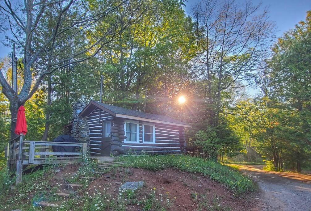 Jack Pine Cabin-North Frontenac Lodge