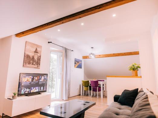 a living room with a couch and a tv at Apartman Aleksandar lux in Palić