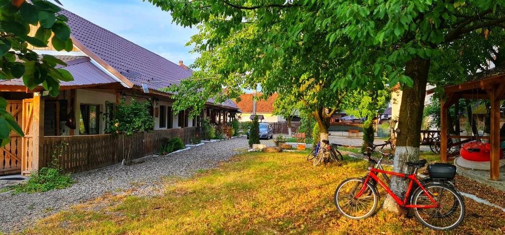 Una bicicleta roja estacionada junto a un árbol al lado de una casa en La Romaneasa, en Săpînţa