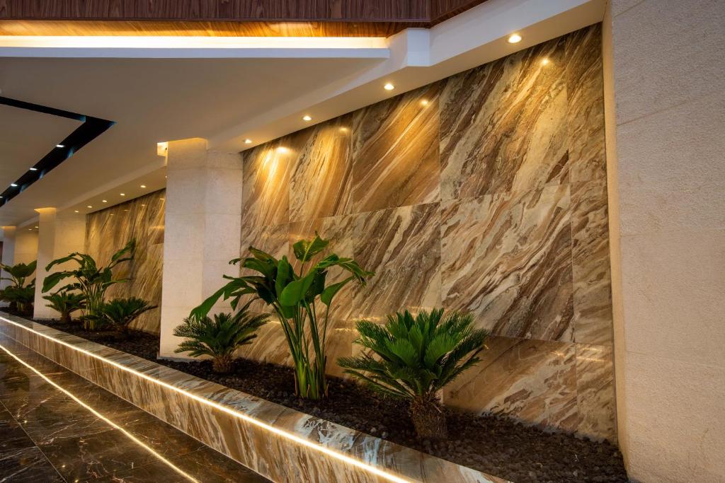 Fotografie z fotogalerie ubytování Petra Moon Luxury Hotel v destinaci Wadi Musa