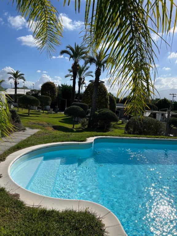 - une piscine dans une cour avec des palmiers dans l'établissement B&B Laura, à Terzigno