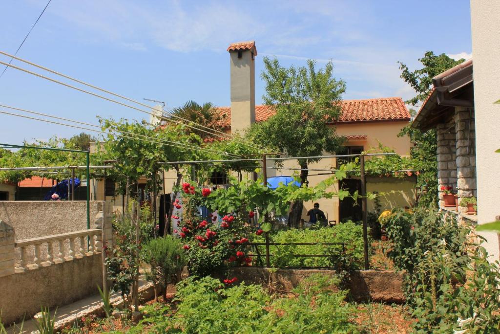 a garden in front of a house at Apartments with a parking space Cres - 7984 in Cres