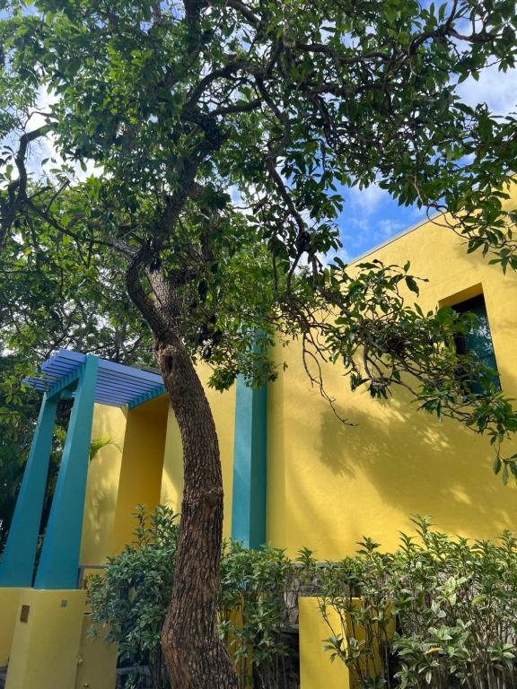 Buckingham Place - 4