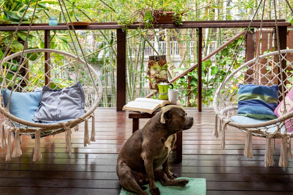 un perro sentado en un porche con sillas y una mesa en KiteSurf 1770 Beach House, en Agnes Water