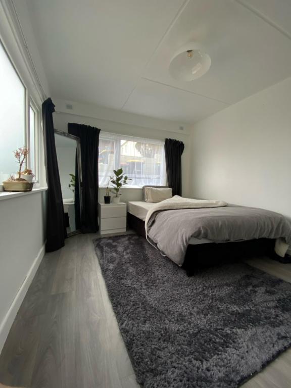 Dunedin Apartment, Dunedin (updated prices 2024)