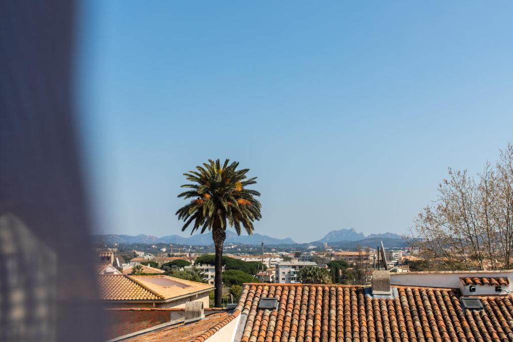 uma palmeira sentada em cima de um telhado em Fréjus Appart'S em Fréjus