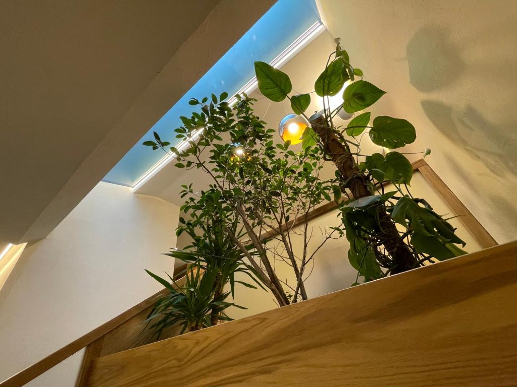 Fotografie z fotogalerie ubytování Hotel Aigle v destinaci Courmayeur