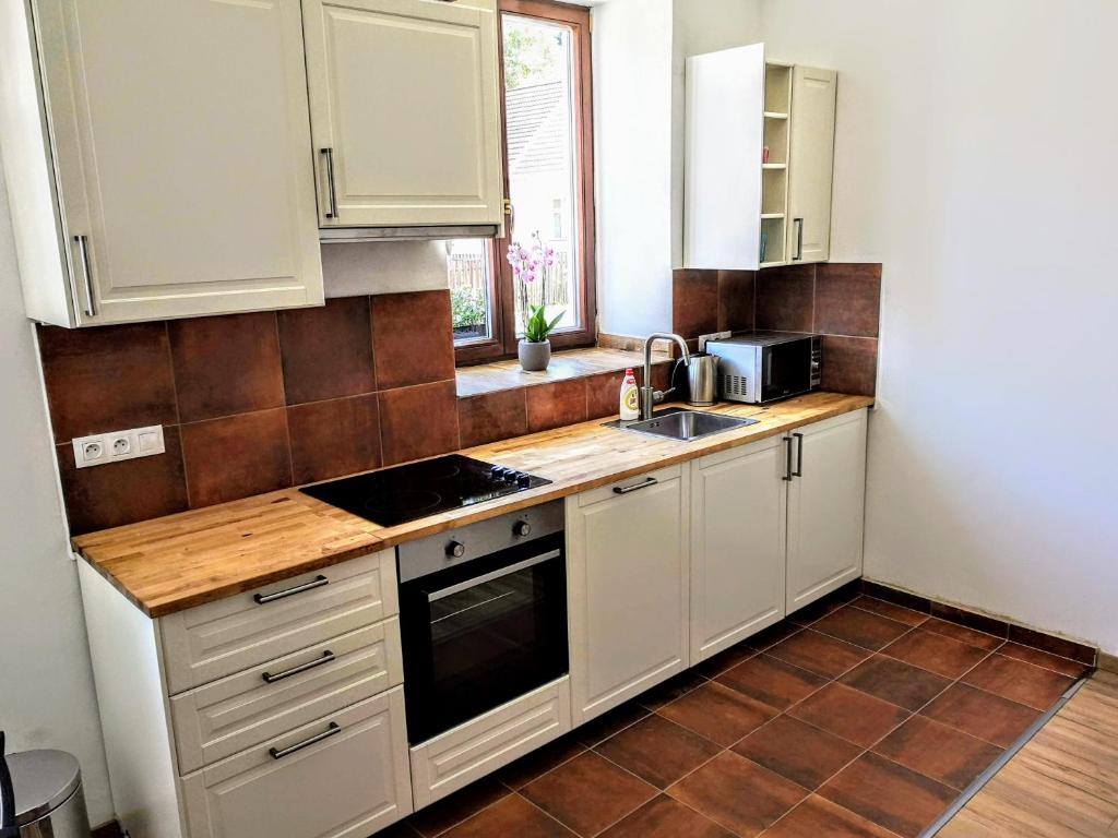 Kuchyň nebo kuchyňský kout v ubytování Apartmány Na hrnčírně