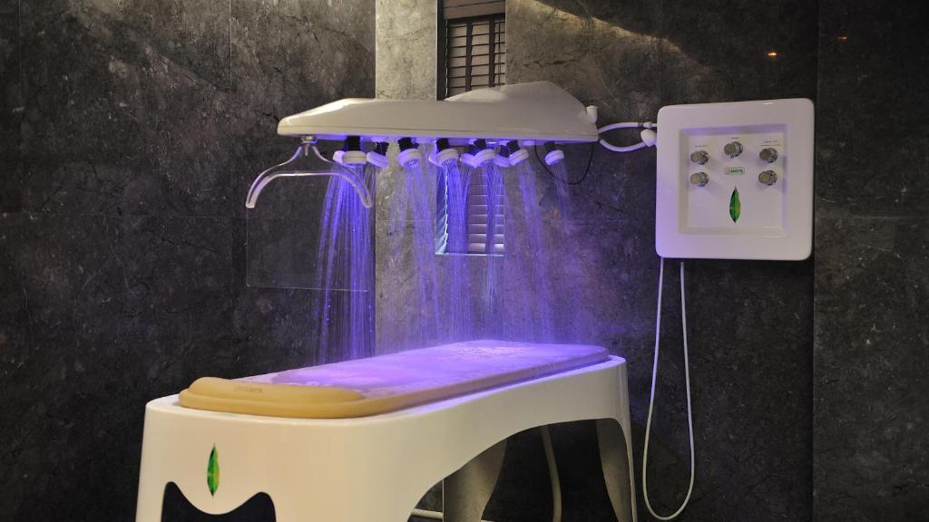 Fotografie z fotogalerie ubytování Madhubhan Resort & Spa v destinaci Anand