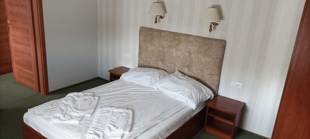 Hotel Przylesie - Apartamento Estándar