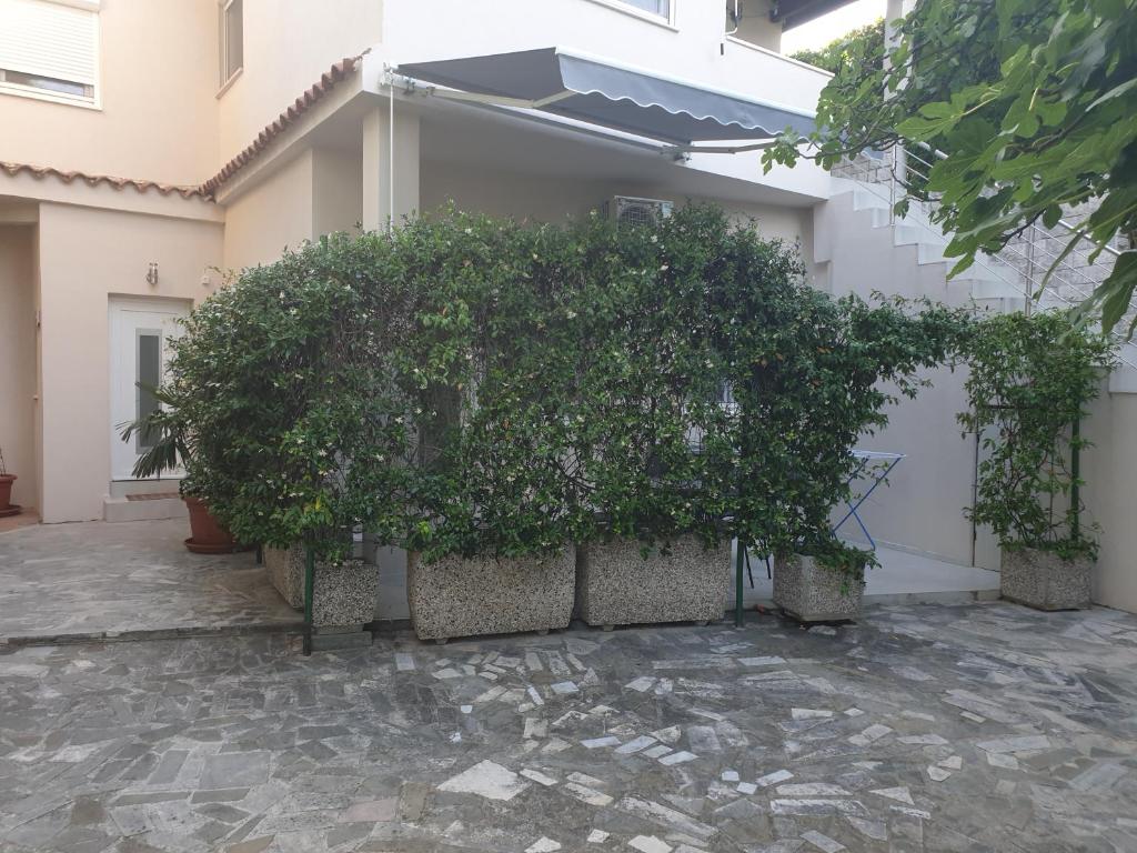 a large bush in front of a building at Apartment with terrace in Portorož