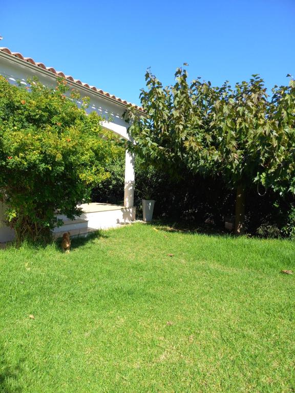 afa butrone sarrola - Apartamento De Una Habitación