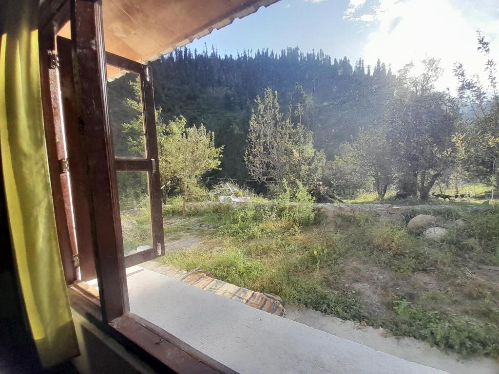 Příroda nedaleko hostelu