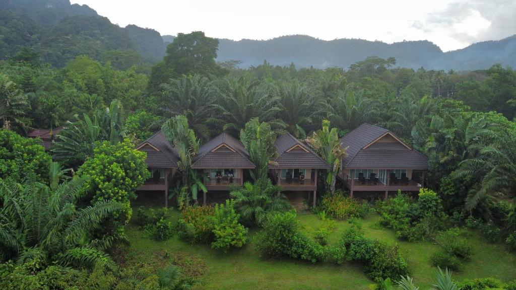 an aerial view of a resort in the jungle at Khaosok Good view Resort - SHA PLUS in Khao Sok National Park