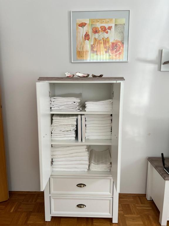 Fotografie z fotogalerie ubytování Apartment Juliana v destinaci Rogaška Slatina