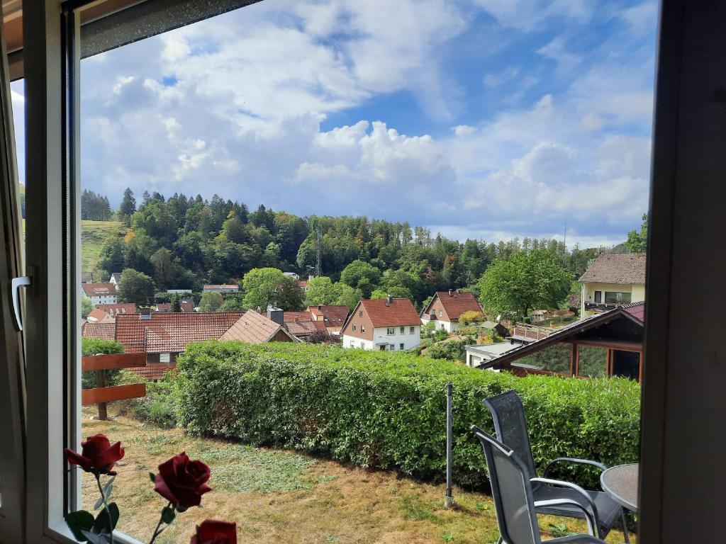 a view of a town from a window at FeWo mit Terrasse für 4-5 Personen mit Schwimmbad + Sauna in Bad Grund