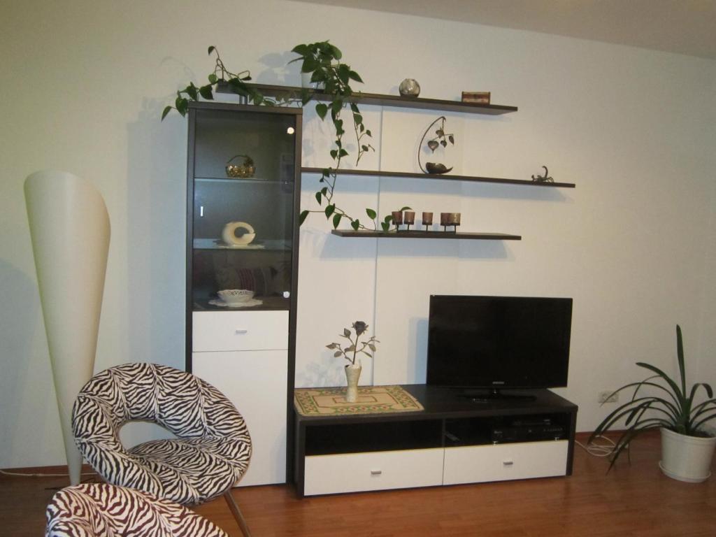 uma sala de estar com uma televisão e uma cadeira em Apartments Morneweg em Kronberg im Taunus