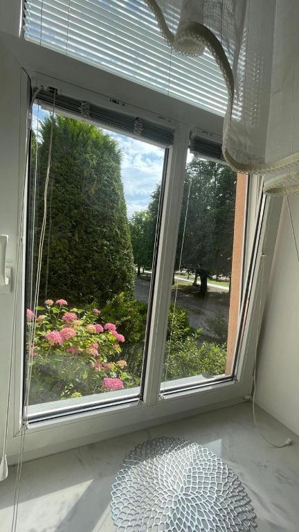 Zahrada ubytování Apartment Juliana