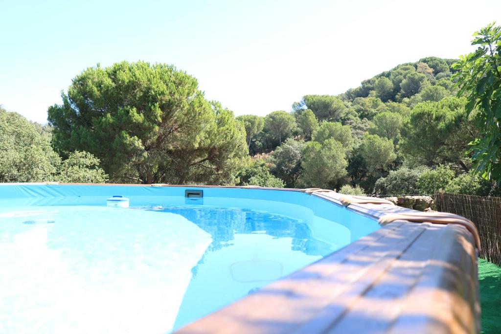 une piscine bleue avec des arbres en arrière-plan dans l'établissement EL RINCON DE ANGELA, à Cordoue