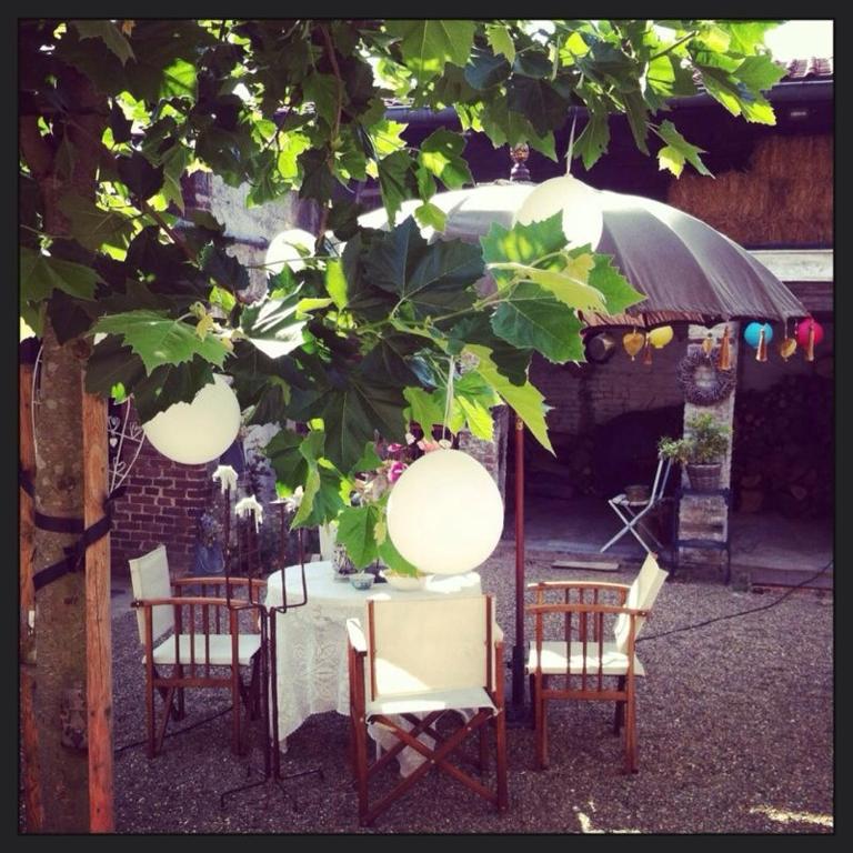 Zahrada ubytování B&B Domaine Villa Bayard