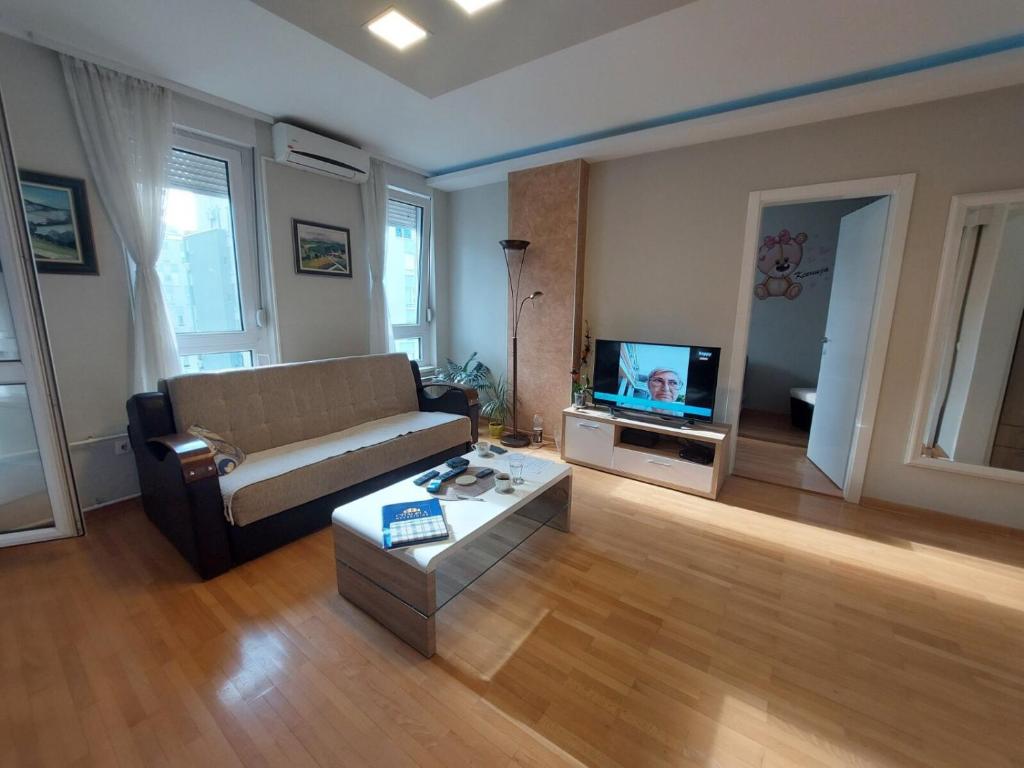 - un salon avec un canapé et une télévision dans l'établissement Xenia apartments, à Belgrade