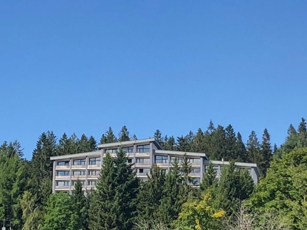 een appartementencomplex midden tussen de bomen bij Panorama Bayerwald in Neureichenau