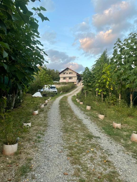 a dirt road with a house in the background at CASUTA MAGICA in Păuşeşti-Măglaşi