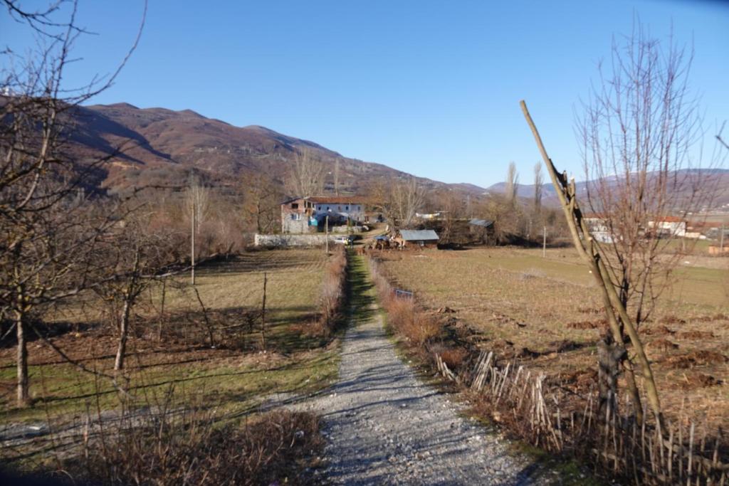 un camino de tierra en un campo con una casa en el fondo en Guesthouse Arber en Peshkopi