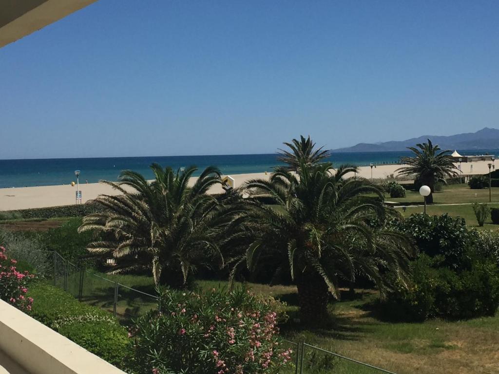 une vue sur une plage avec des palmiers et l'océan dans l'établissement Superbe appartement à Canet en Roussilon avec vue sur mer et montagne, à Canet