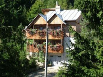 a house with flowers on the side of it at Villa Doina in Voronet