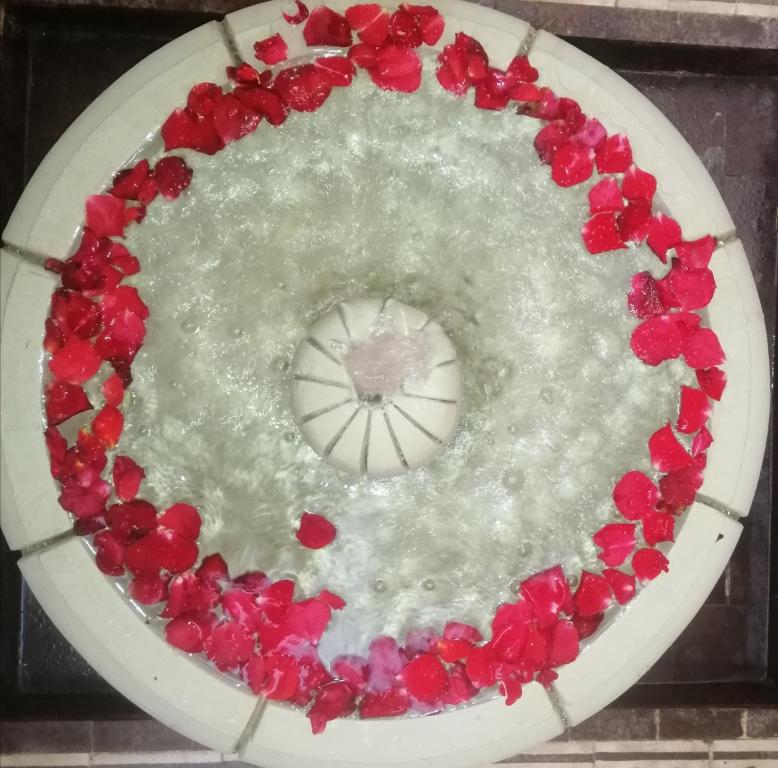 a cake with red flowers on top of it at Hostel Laksour in Marrakesh