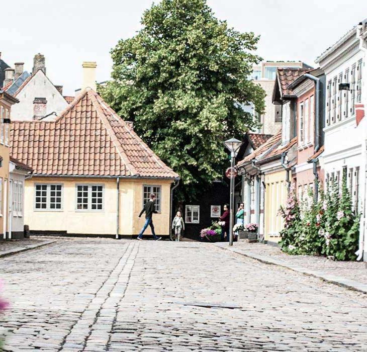 a man walking a dog on a cobblestone street at City House in Odense
