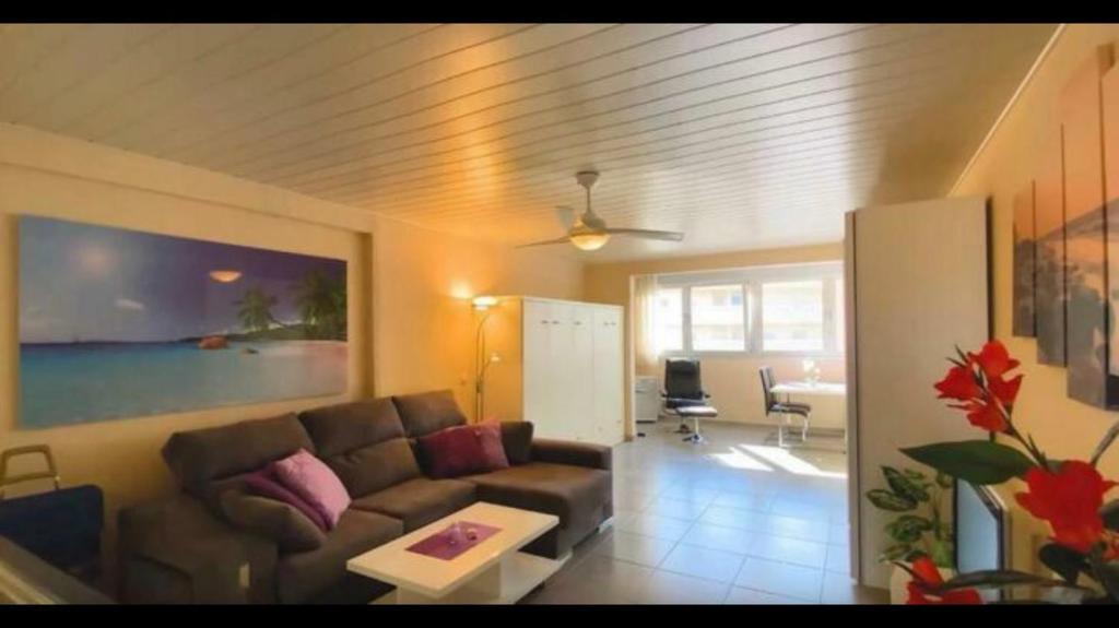 salon z kanapą i stołem w obiekcie Espacioso Estudio cerca de la playa La Mata w mieście La Mata