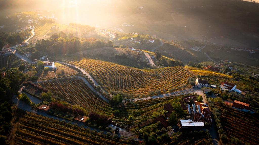 an aerial view of a vineyard on a hill at Vila Marim Country Houses in Mesão Frio