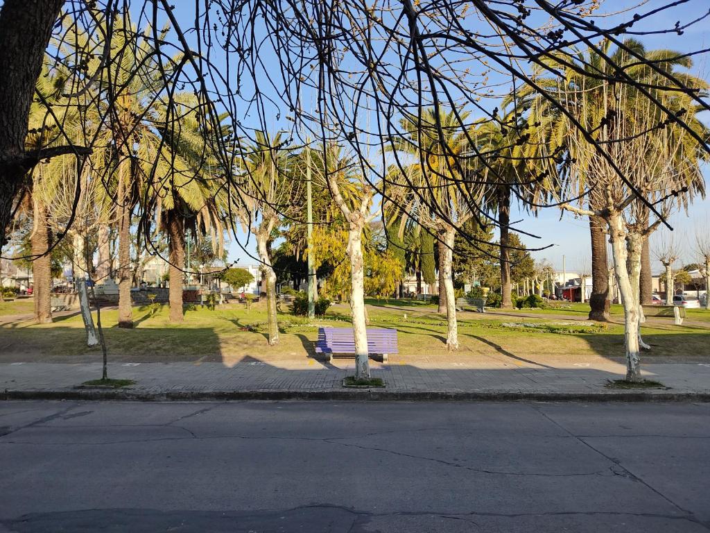 un parque con un banco y árboles en una calle en Suculento Apart en Fray Bentos