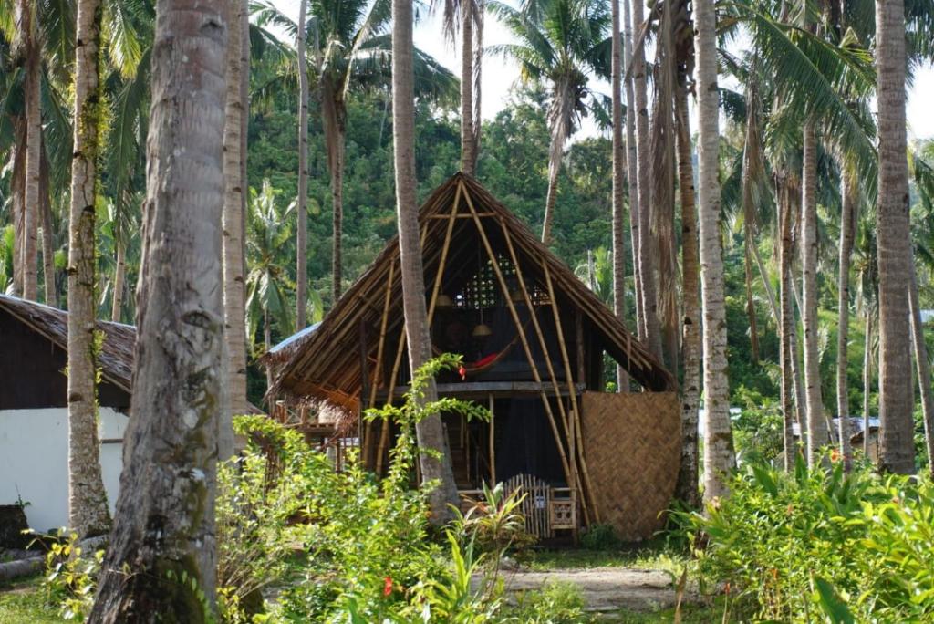 Un jardín fuera de Prince John Beachfront Eco Bungalows and Restaurant
