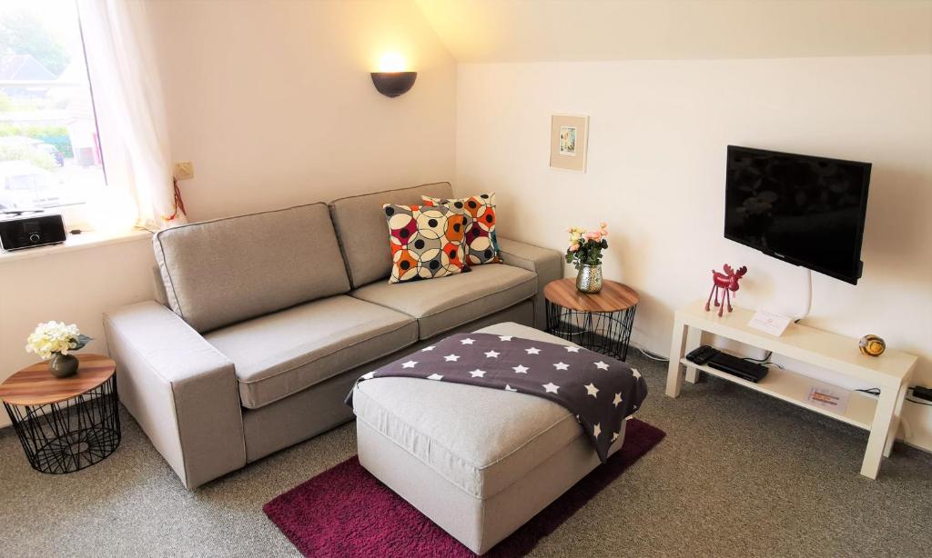 TV a/nebo společenská místnost v ubytování Apartments mit Flair