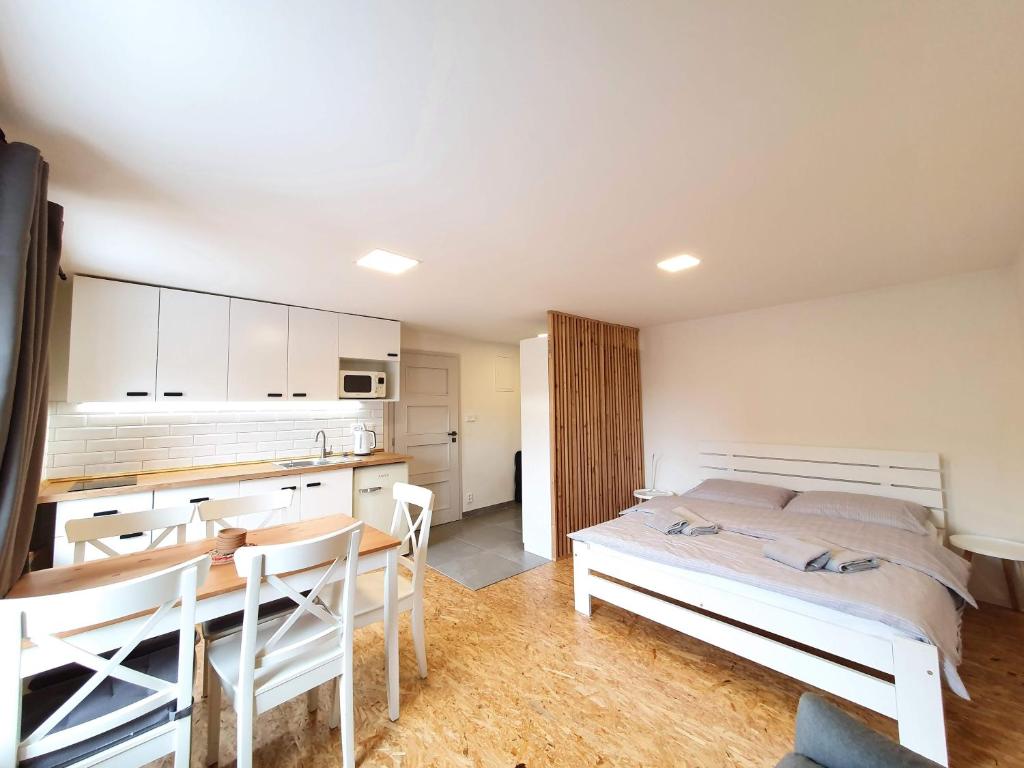 Kuchyň nebo kuchyňský kout v ubytování Apartmány U Muzea