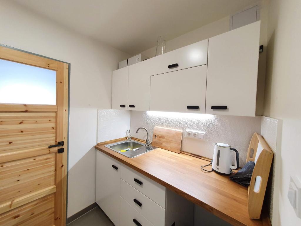 Kuchyň nebo kuchyňský kout v ubytování Apartmány U Muzea