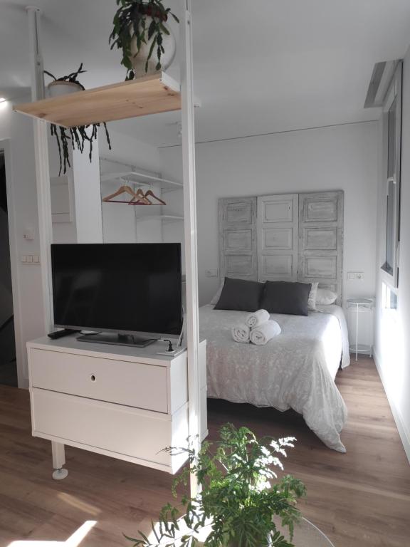 Apartamentos CANDEA - 5