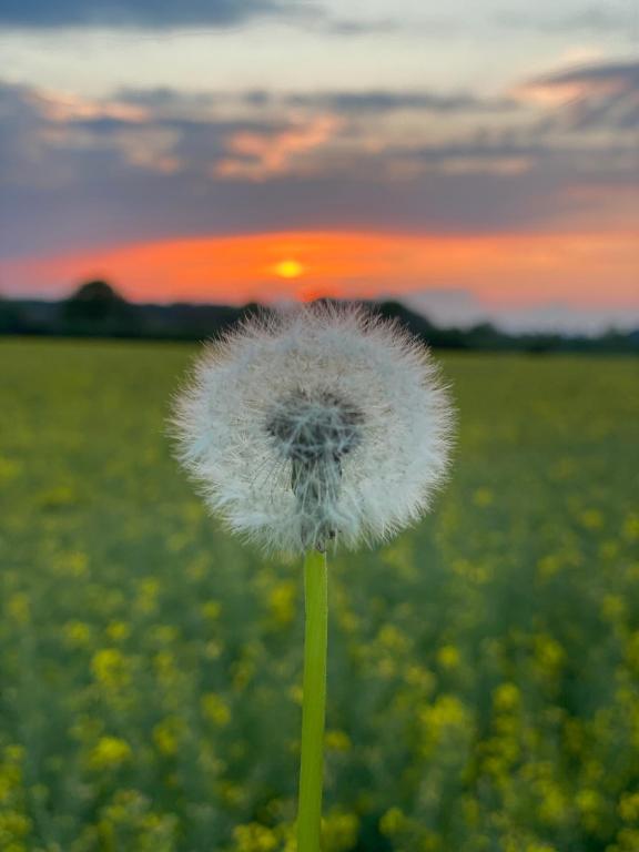 GSand Le Clos du May - 2