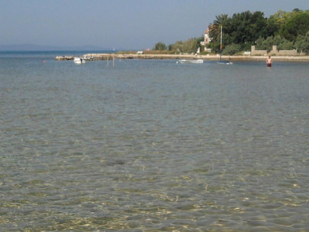 Φυσικό τοπίο κοντά σε αυτός ο ξενώνας