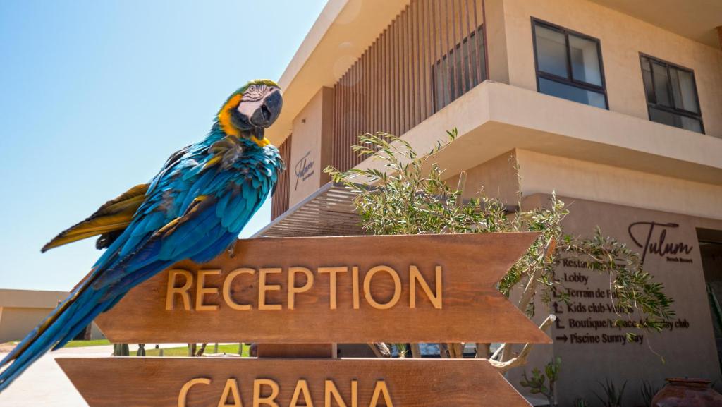 a parrot sitting on a sign in front of a building at Tulum Beach Resort Dakhla in Dakhla