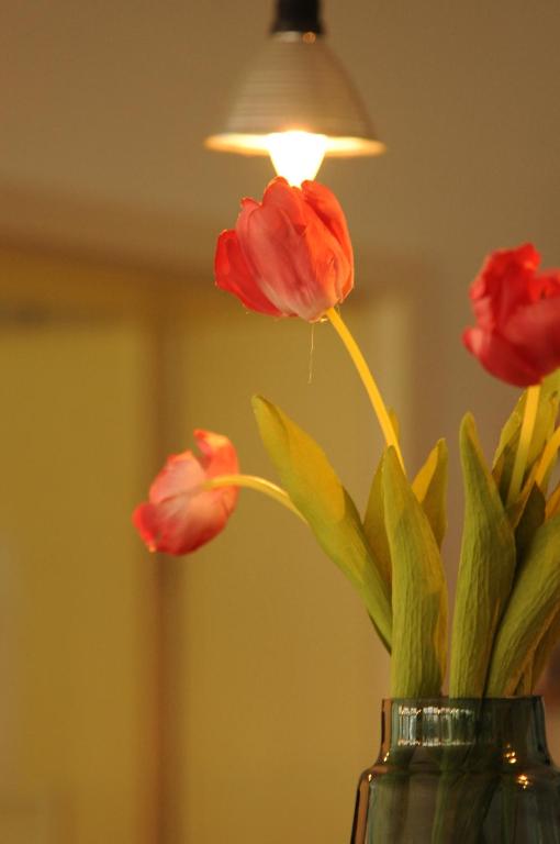 Fotografie z fotogalerie ubytování hogh Hotel Heilbronn v destinaci Heilbronn