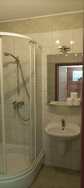 Hotel Przylesie - Habitación Doble Con Ducha