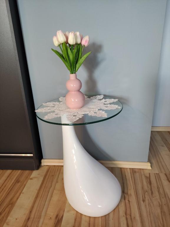 Fotografie z fotogalerie ubytování Sára Apartman Nyíregyháza v destinaci Nyíregyháza
