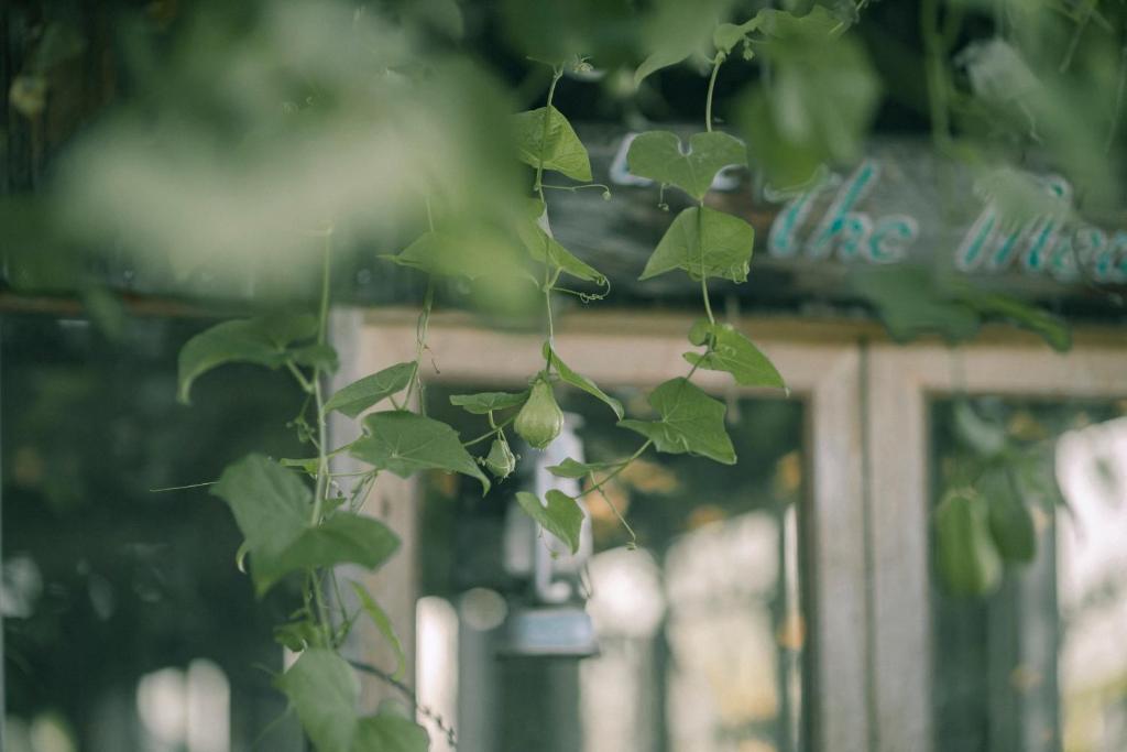Aed väljaspool majutusasutust Tiệm Cà Phê Mer Homestay & Coffee Mộc Châu