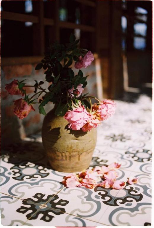 Foto sihtkohas Mộc Châu asuva majutusasutuse Tiệm Cà Phê Mer Homestay & Coffee Mộc Châu galeriist